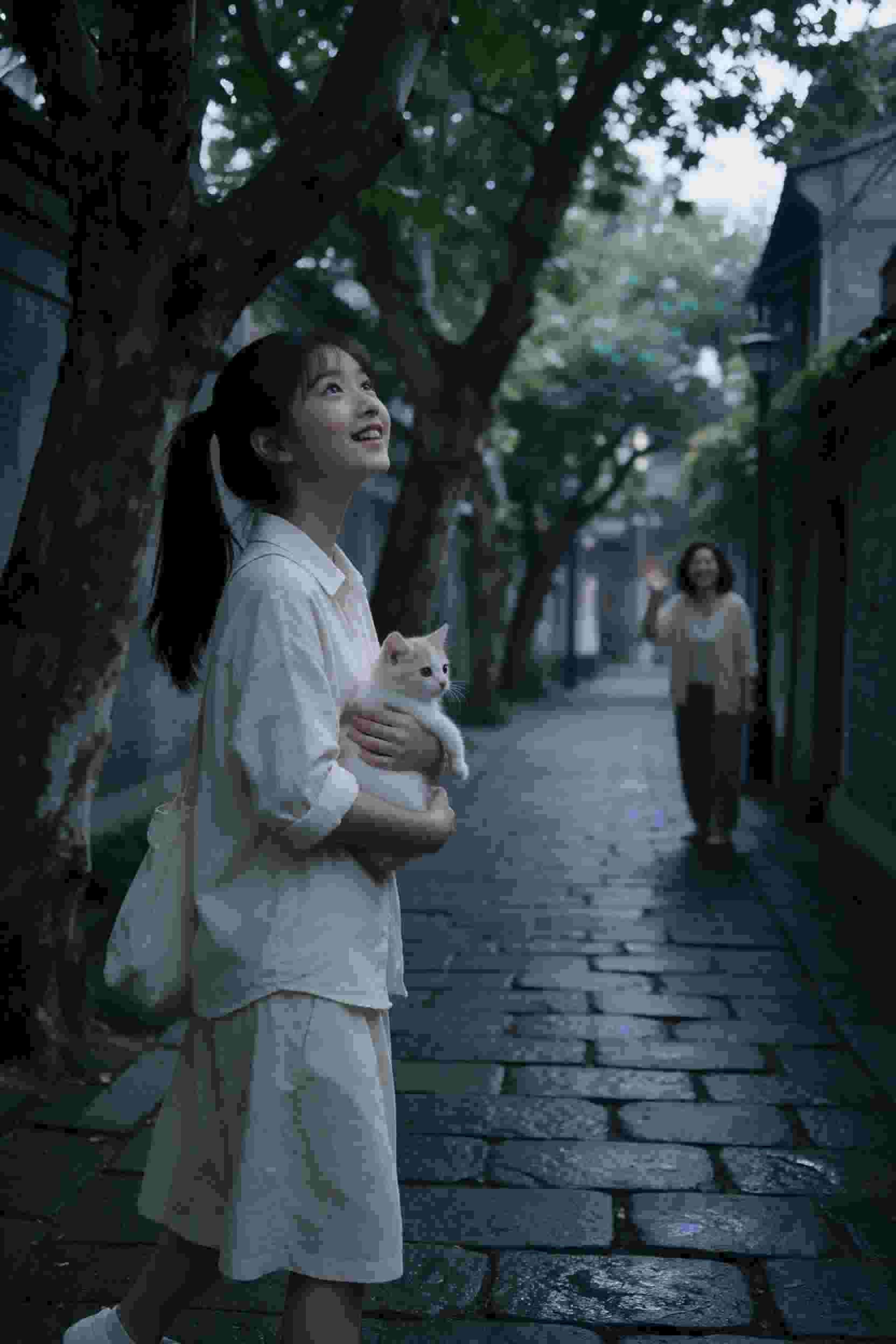 荒岛美人劫