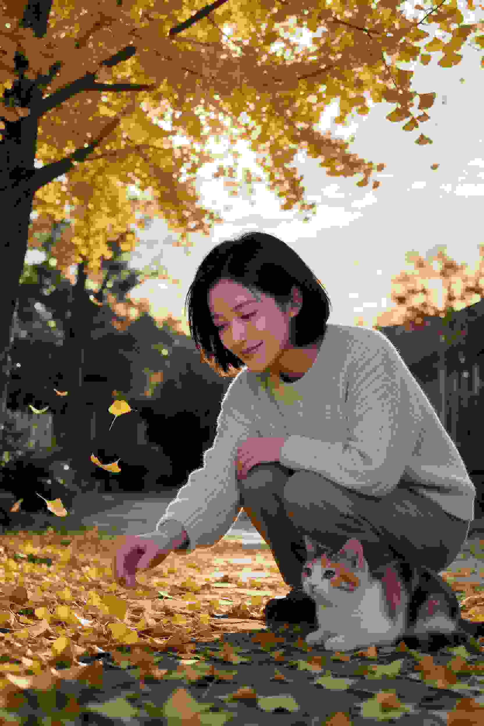 荒岛美人劫